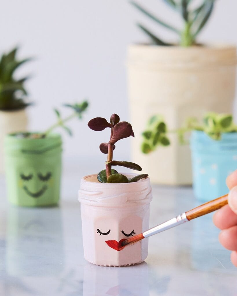 mini succulent in decorated pot